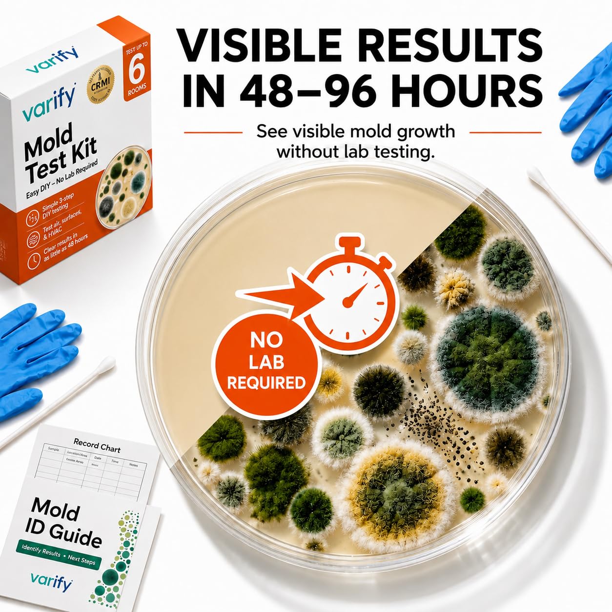 Mold Test Kit - Petri Dishes for Home Air Quality