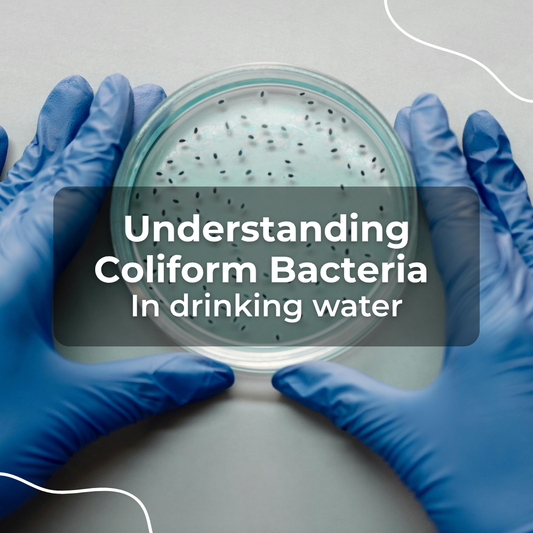 Understanding Coliform Bacteria in Drinking Water: A Guide with Varify