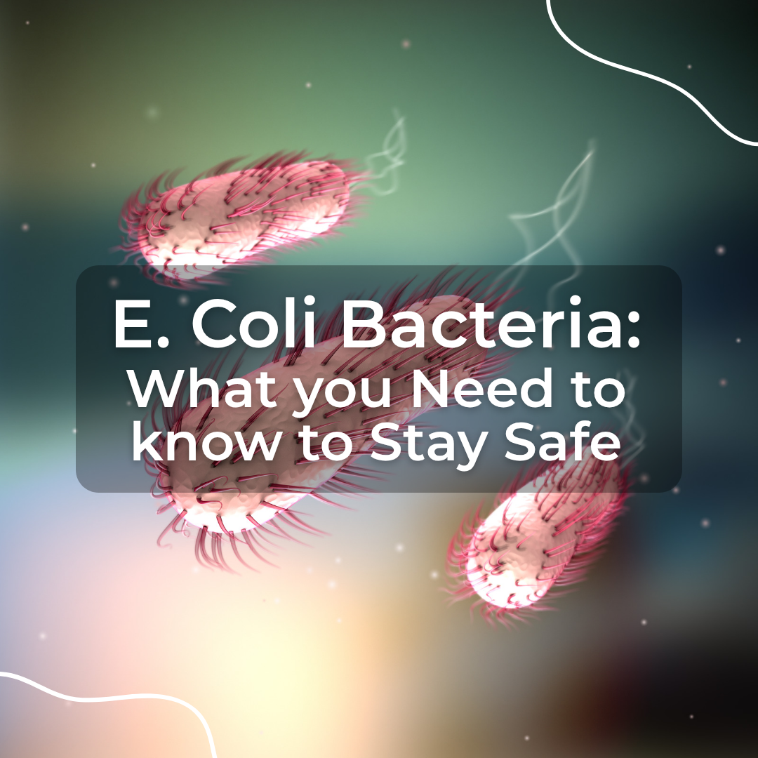 E. Coli Bacteria: What You Need to Know to Stay Safe