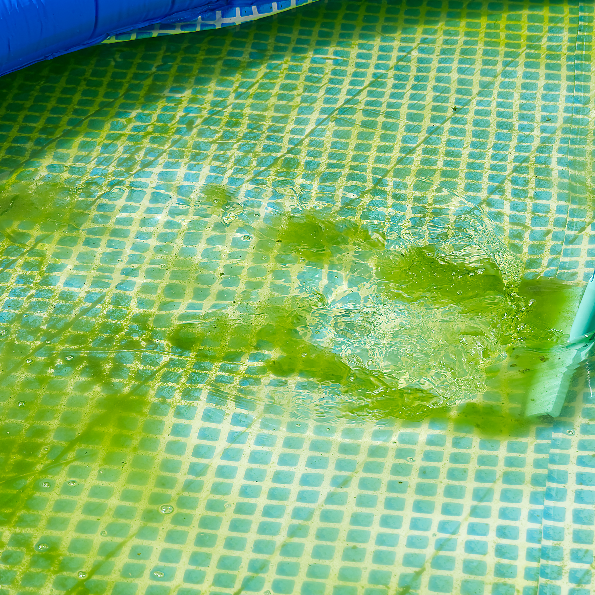 How to Eliminate Green Algae in Your Pool