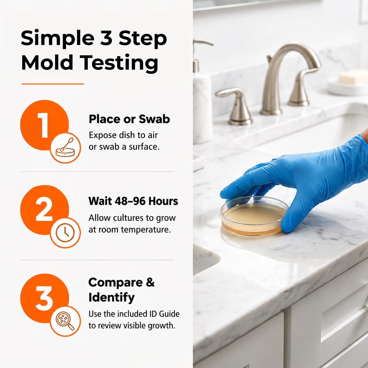 Mold Test Kit - Petri Dishes for Home Air Quality
