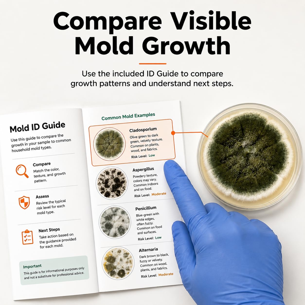 Mold Test Kit - Petri Dishes for Home Air Quality