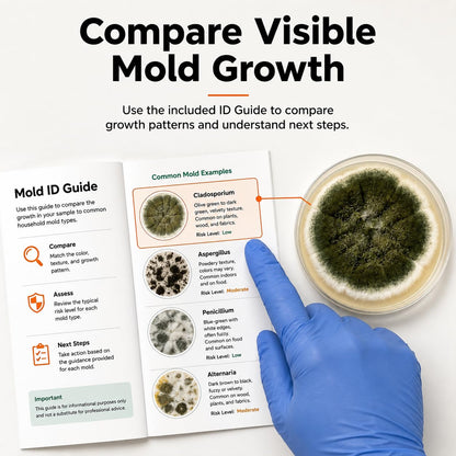 Mold Test Kit - Petri Dishes for Home Air Quality