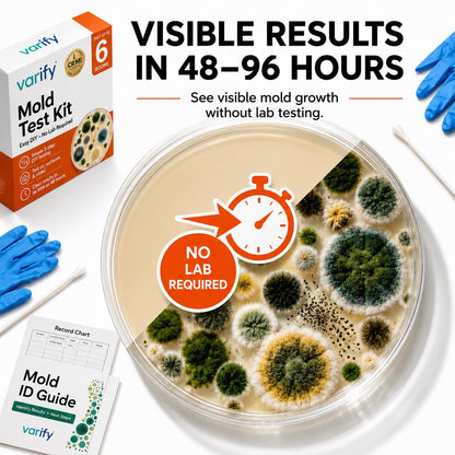 Mold Test Kit - Petri Dishes for Home Air Quality